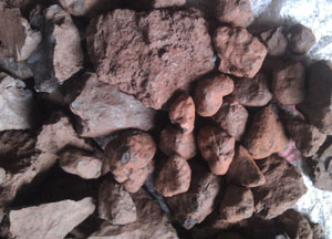 �i�V�x�V���a��